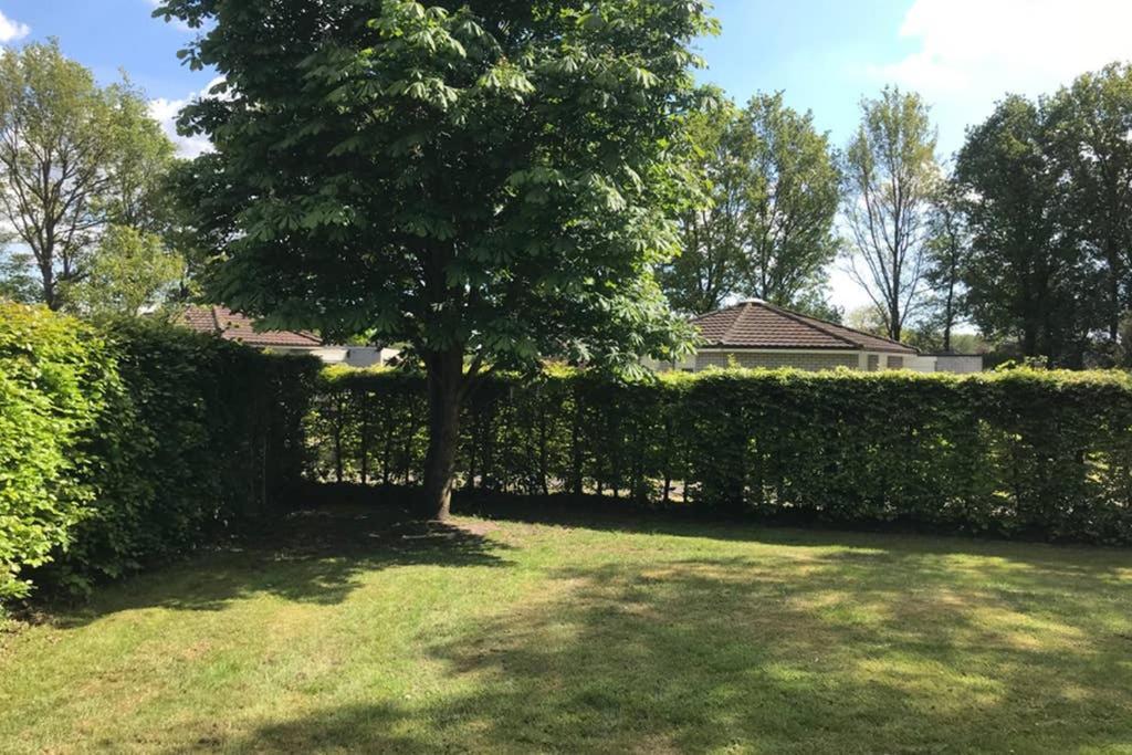 Rustig Gelegen Bungalow In Mooi Havelte Exterior foto